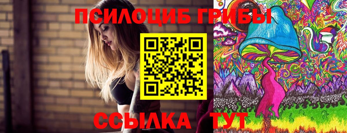Галлюциногенные грибы Cubensis  Вход с VPN  Узловая 