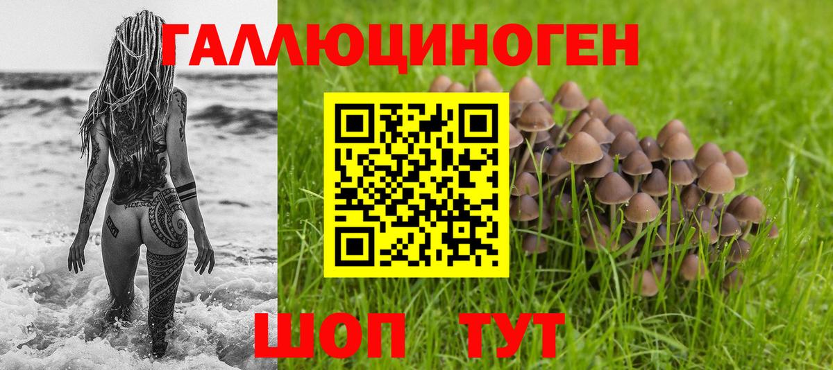 Псилоцибиновые грибы мухоморы Узловая